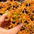 SEDUM NUSSBAUMERIANUM, image _ab__is.image_number.default